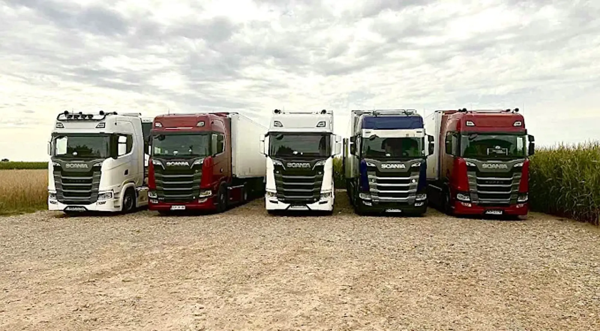 Nowoczesne samochody ciężarowe chłodnie Rybus Transport