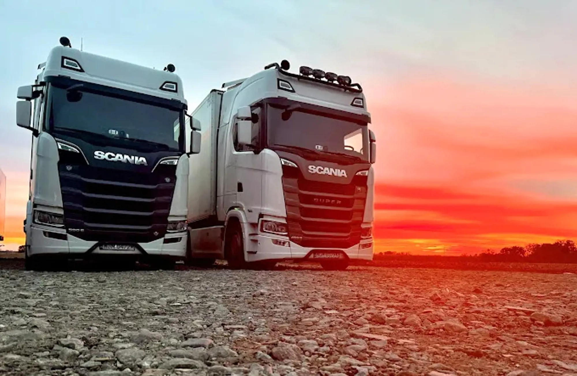 Nowoczesna flota transportowa Rybus Transport